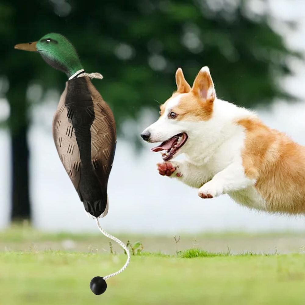 Decoy Duck Plastic - 犬の訓練用、噛みつきに強い、リアルなアヒルの形をしたおもちゃ。犬が噛むことでリラックス効果を得られる。