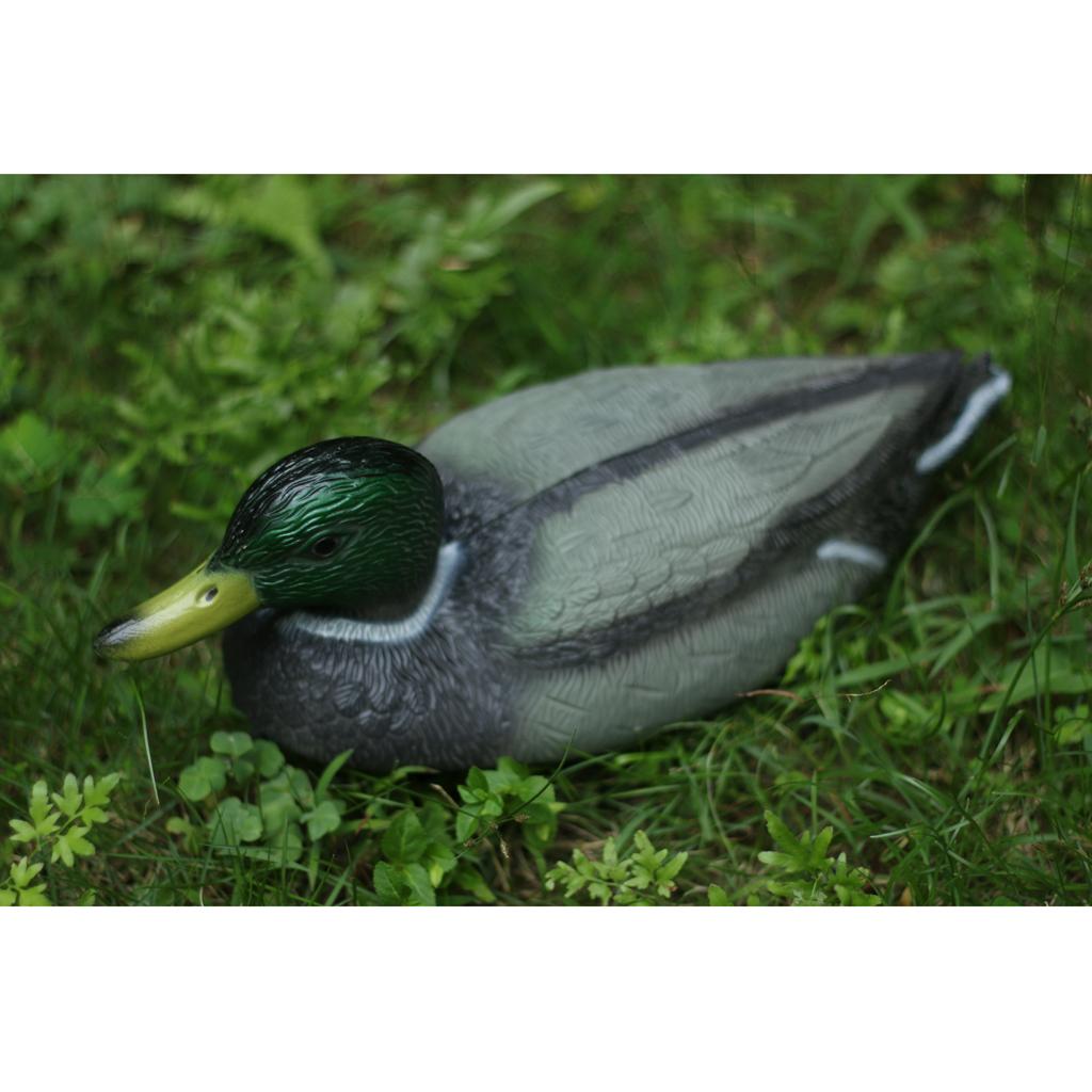 重り付きのリアルなマーリンダック（雄鴨）の模造品。庭の防鳥対 - Decoy Duck Plastic のレビューと価格