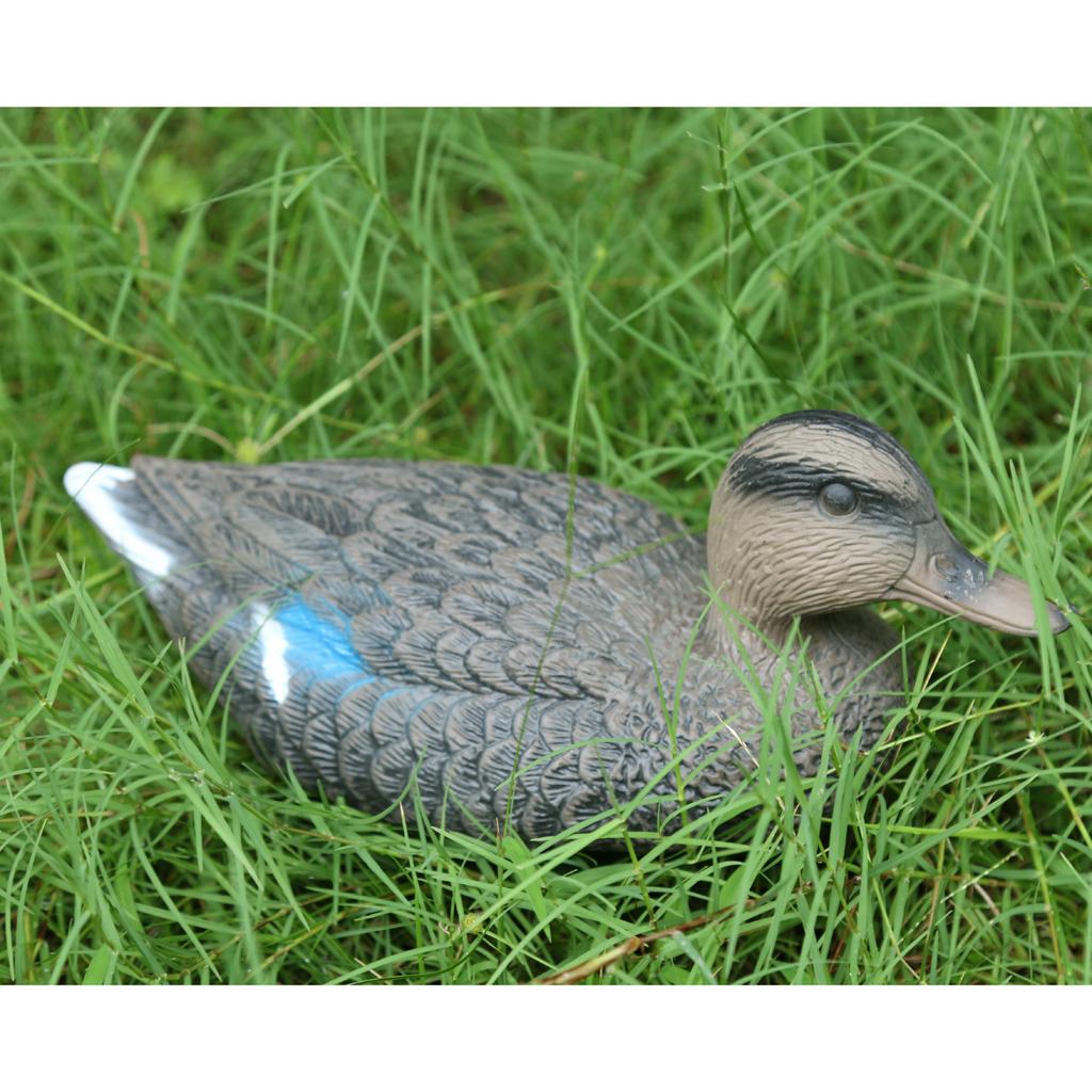 人工的なオナガガモの模型。屋外用のガモの装飾品。リアルなプラ - Decoy Duck Plastic のレビューと価格