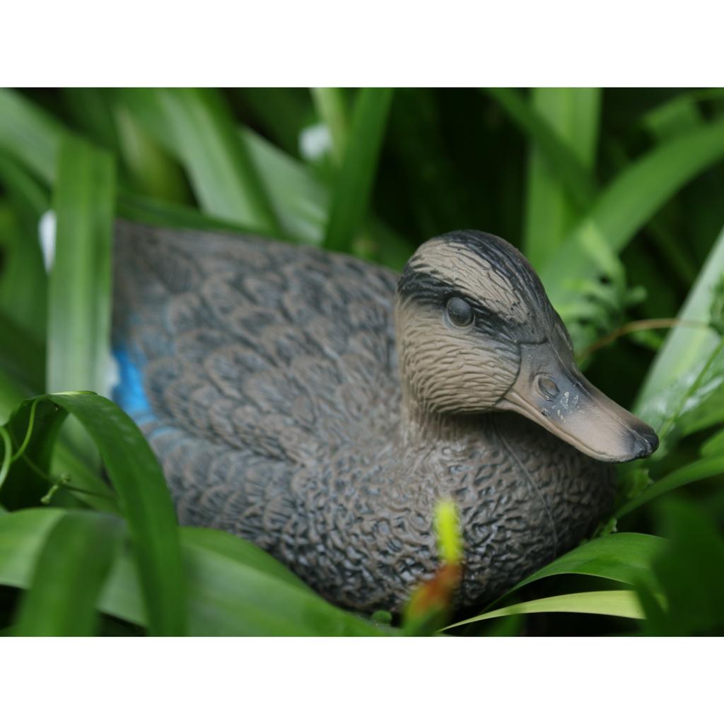人工的なオナガガモの模型。屋外用のガモの装飾品。リアルなプラ - Decoy Duck Plastic のレビューと価格