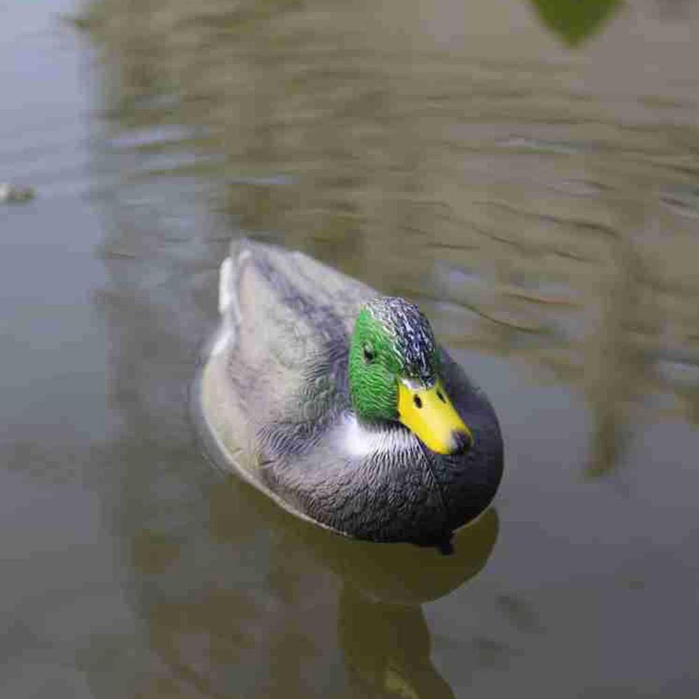 リアルなプラスチック製のアヒルの擬似餌、庭の装飾、浮かぶ頭付 - Decoy Duck Plastic のレビューと価格