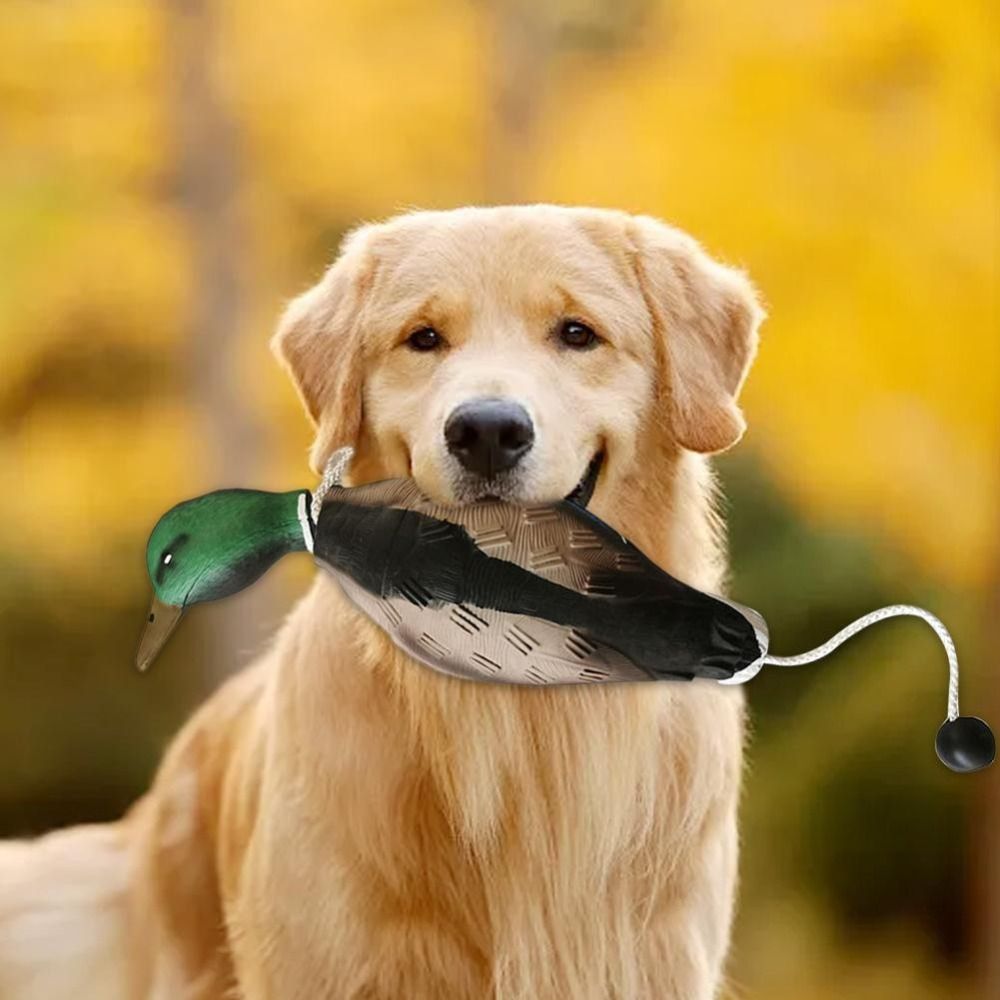 犬の訓練用、噛みつきに強い、リアルなアヒルの形をしたおもちゃ - Decoy Duck Plastic のレビューと価格