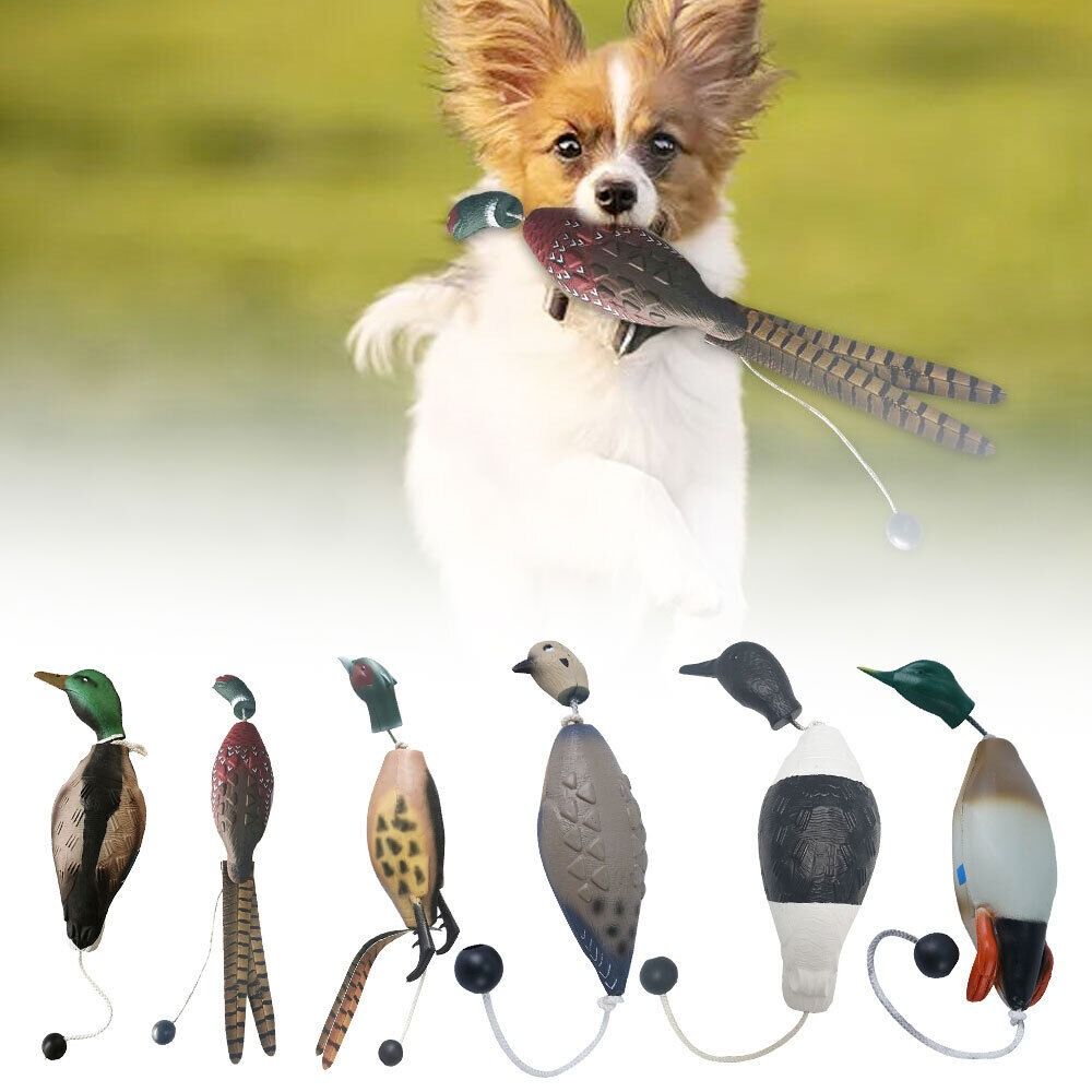 犬の訓練用、噛みつきに強い、リアルなアヒルの形をしたおもちゃ - Decoy Duck Plastic のレビューと価格
