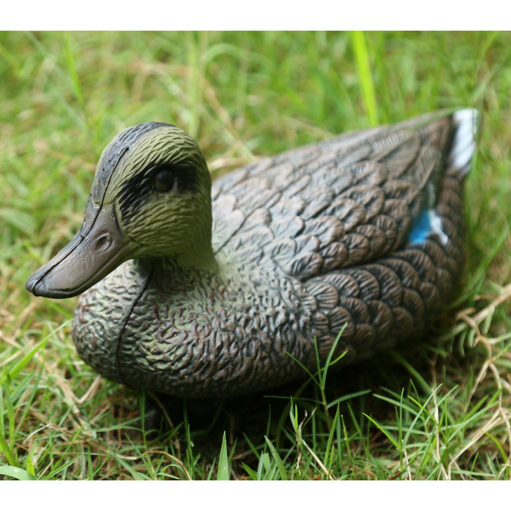 リアルな鴨の置物、プラスチック製の庭の飾り、屋外装飾、プール - Decoy Duck Plastic のレビューと価格