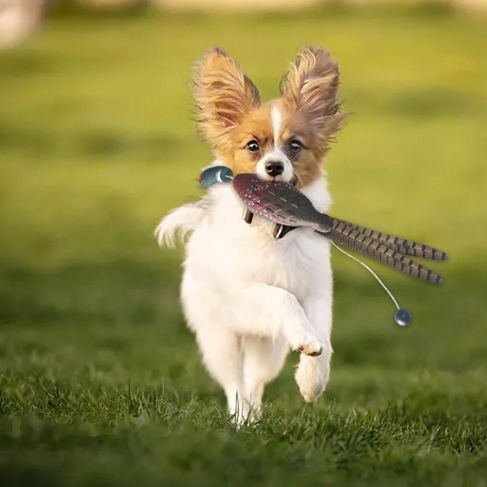 マガモアヒルデコイ犬の訓練のおもちゃ犬の訓練用リラックスペッ - Decoy Duck Plastic のレビューと価格