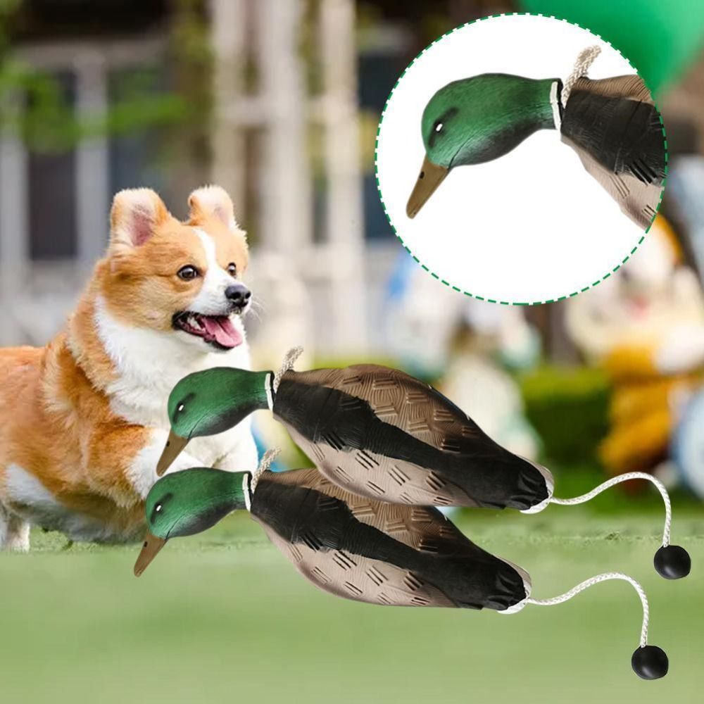 マガモアヒルデコイ犬の訓練のおもちゃ犬の訓練用リラックスペッ - Decoy Duck Plastic のレビューと価格
